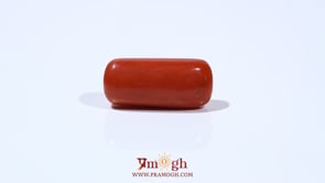 Red Coral - 9.8 Carat