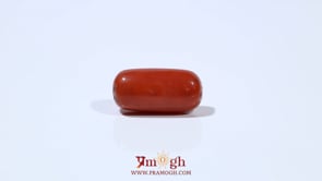 Red Coral - 6.45 Carat