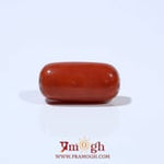Red Coral - 6.45 Carat