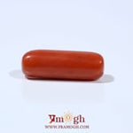 Red Coral - 6.9 Carat