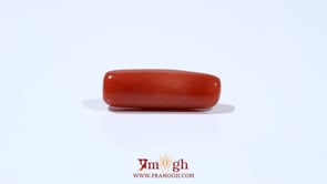 Red Coral - 6.75 Carat