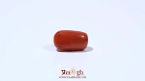 Red Coral - 5.7 Carat