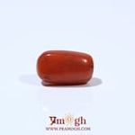 Red Coral - 5.7 Carat