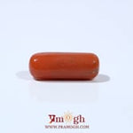 Red Coral - 5.25 Carat