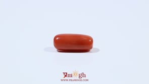 Red Coral - 5.4 Carat