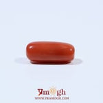 Red Coral - 5.4 Carat