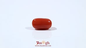Red Coral - 5.1 Carat