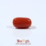 Red Coral - 5.1 Carat
