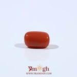Red Coral - 3.22 Carat