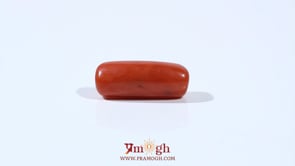 Red Coral - 6.8 Carat