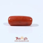 Red Coral - 6.8 Carat