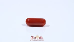 Red Coral - 5.2 Carat