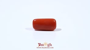 Red Coral - 5.28 Carat