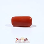 Red Coral - 5.28 Carat