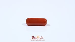 Red Coral - 3.92 Carat