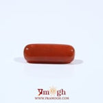 Red Coral - 3.92 Carat