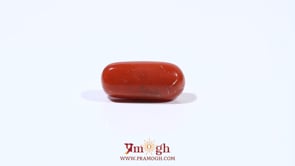 Red Coral - 6.65 Carat