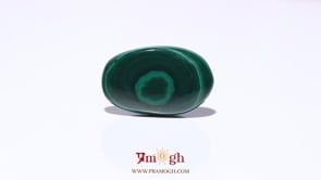 Malachite (Kidney Stone) - 23.6 Carat