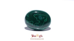 Malachite (Kidney Stone) - 39.05 Carat