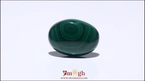 Malachite (Kidney Stone) - 27.2 Carat