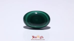 Malachite (Kidney Stone) - 31.6 Carat