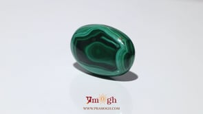 Malachite (Kidney Stone) - 41.6 Carat