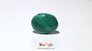 Malachite (Kidney Stone) - 23.15 Carat
