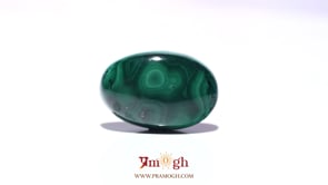 Malachite (Kidney Stone) - 28.1 Carat