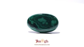 Malachite (Kidney Stone) - 26.3 Carat
