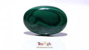 Malachite (Kidney Stone) - 65.95 Carat