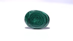 Malachite (Kidney Stone) - 26.7 Carat