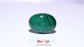 Malachite (Kidney Stone) - 30.9 Carat