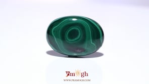 Malachite (Kidney Stone) - 38.7 Carat