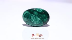 Malachite (Kidney Stone) - 41.4 Carat
