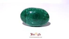 Malachite (Kidney Stone) - 65.4 Carat