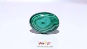 Malachite (Kidney Stone) - 33.8 Carat