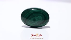 Malachite (Kidney Stone) - 44.5 Carat