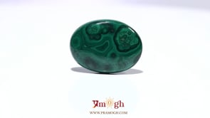 Malachite (Kidney Stone) - 24.25 Carat
