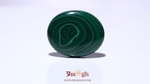 Malachite (Kidney Stone) - 40.45 Carat