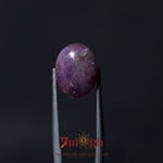 Star Ruby - 11.55 Carat