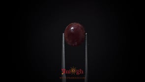 Star Ruby - 10.3 Carat