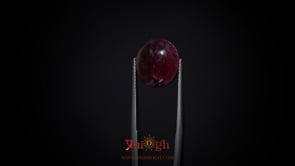 Star Ruby - 14.6 Carat