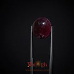 Star Ruby - 14.6 Carat