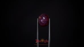 Star Ruby - 11.85 Carat