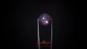 Star Ruby - 12.1 Carat