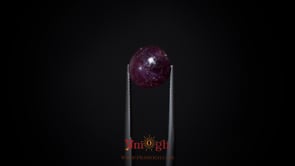 Star Ruby - 11.25 Carat