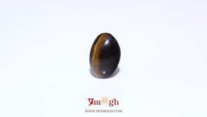 Tiger Eye - 6.95 Carat