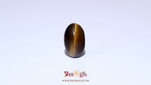 Tiger Eye - 8.75 Carat