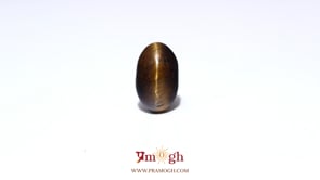 Tiger Eye - 4.95 Carat