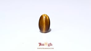 Tiger Eye - 2.8 Carat